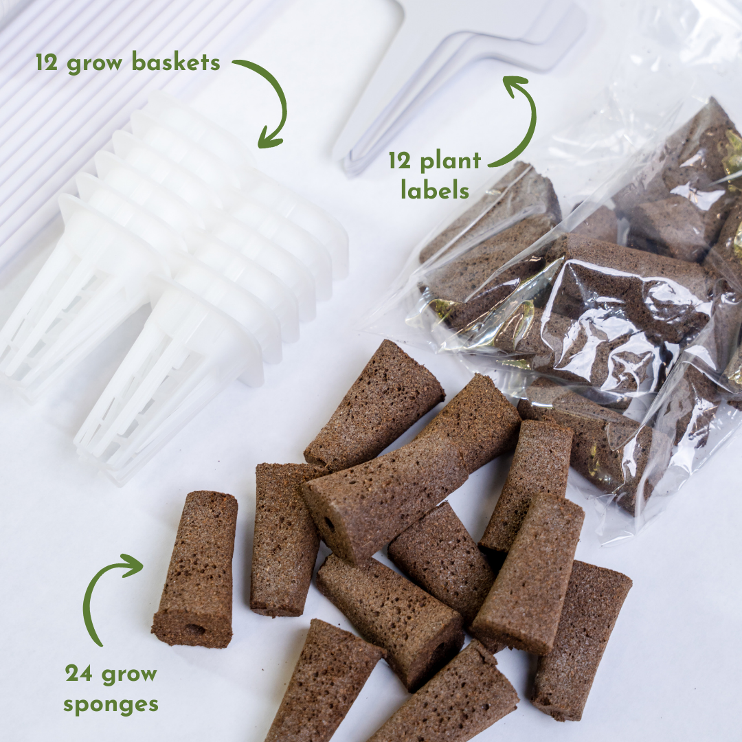 Mini Hydroponic Education Kit with Science Curriculum