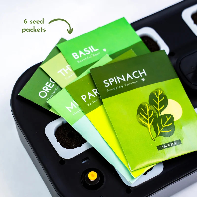 Mini Hydroponic Education Kit with Science Curriculum