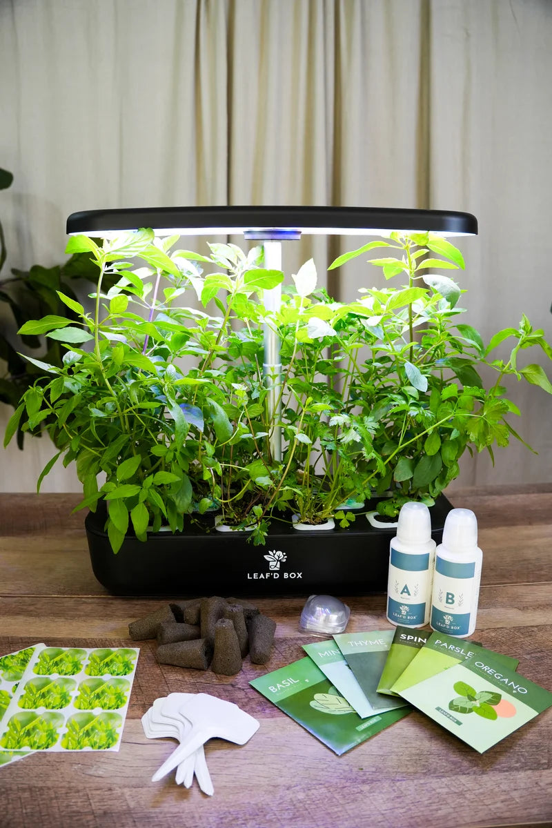 Mini Hydroponic Education Kit with Science Curriculum