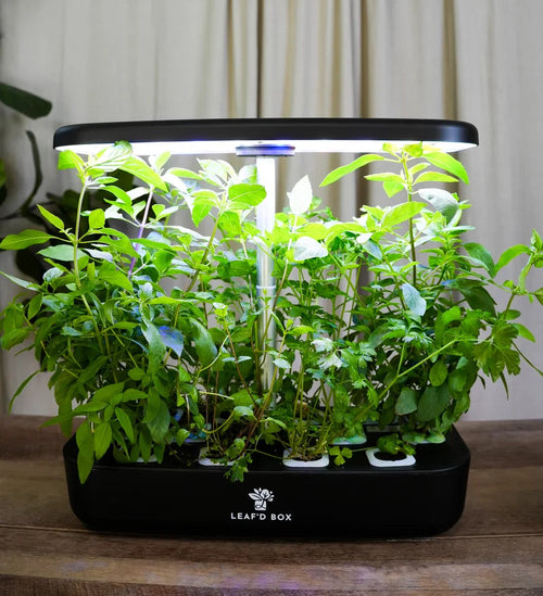 Mini Hydroponic Education Kit with Science Curriculum