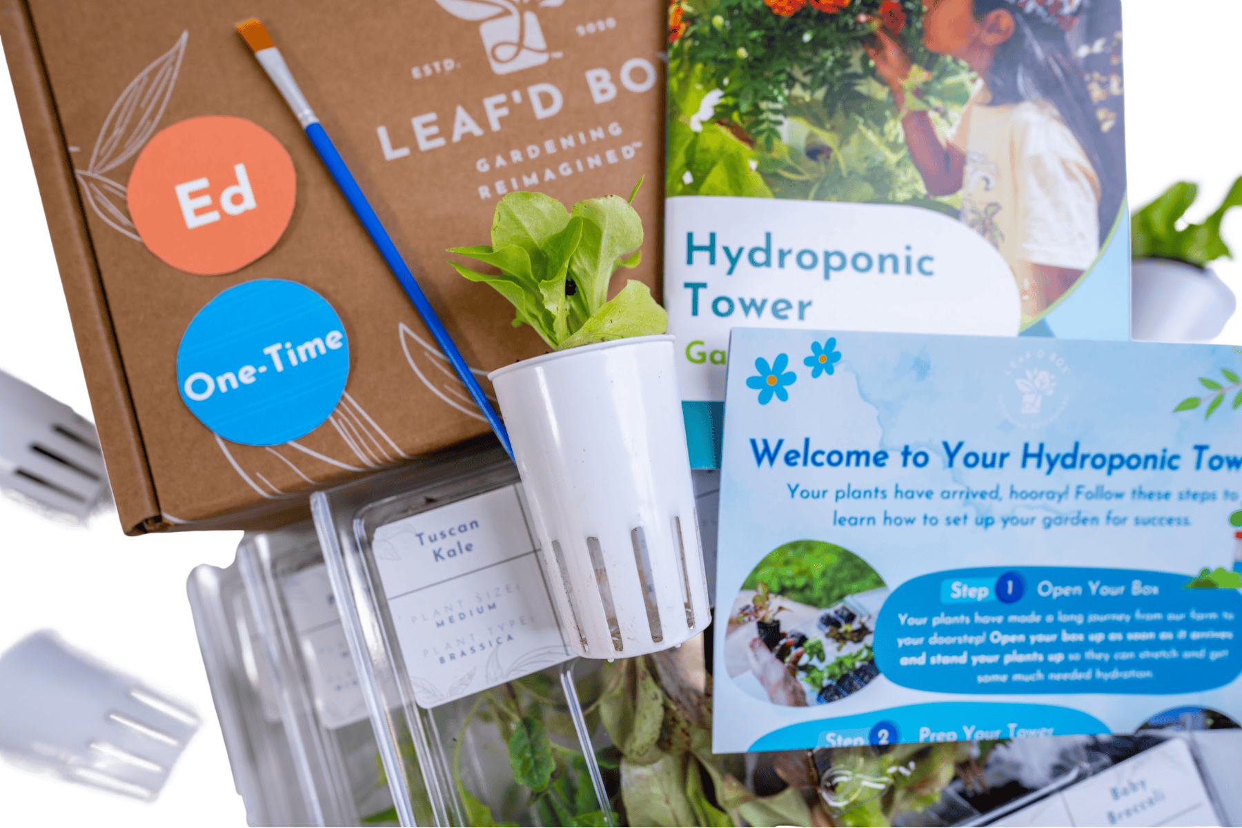 Indoor Hydroponic Tower Plant Refill with Science Curriculum