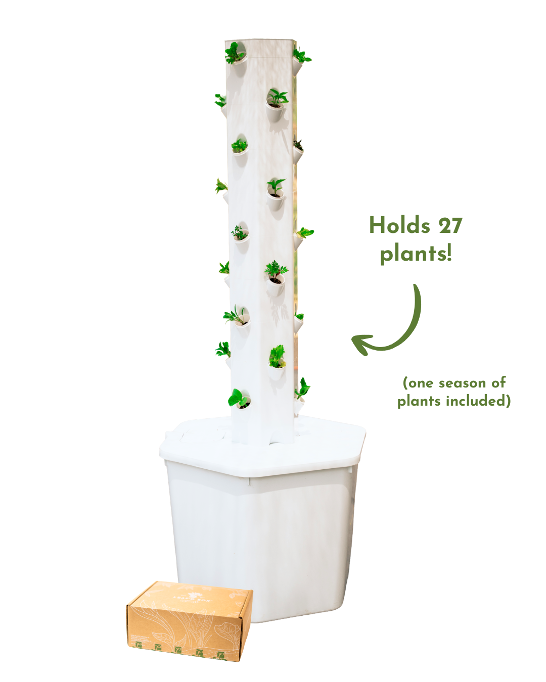 Outdoor Hydroponic Tower Kit with Science Curriculum (Region 1)