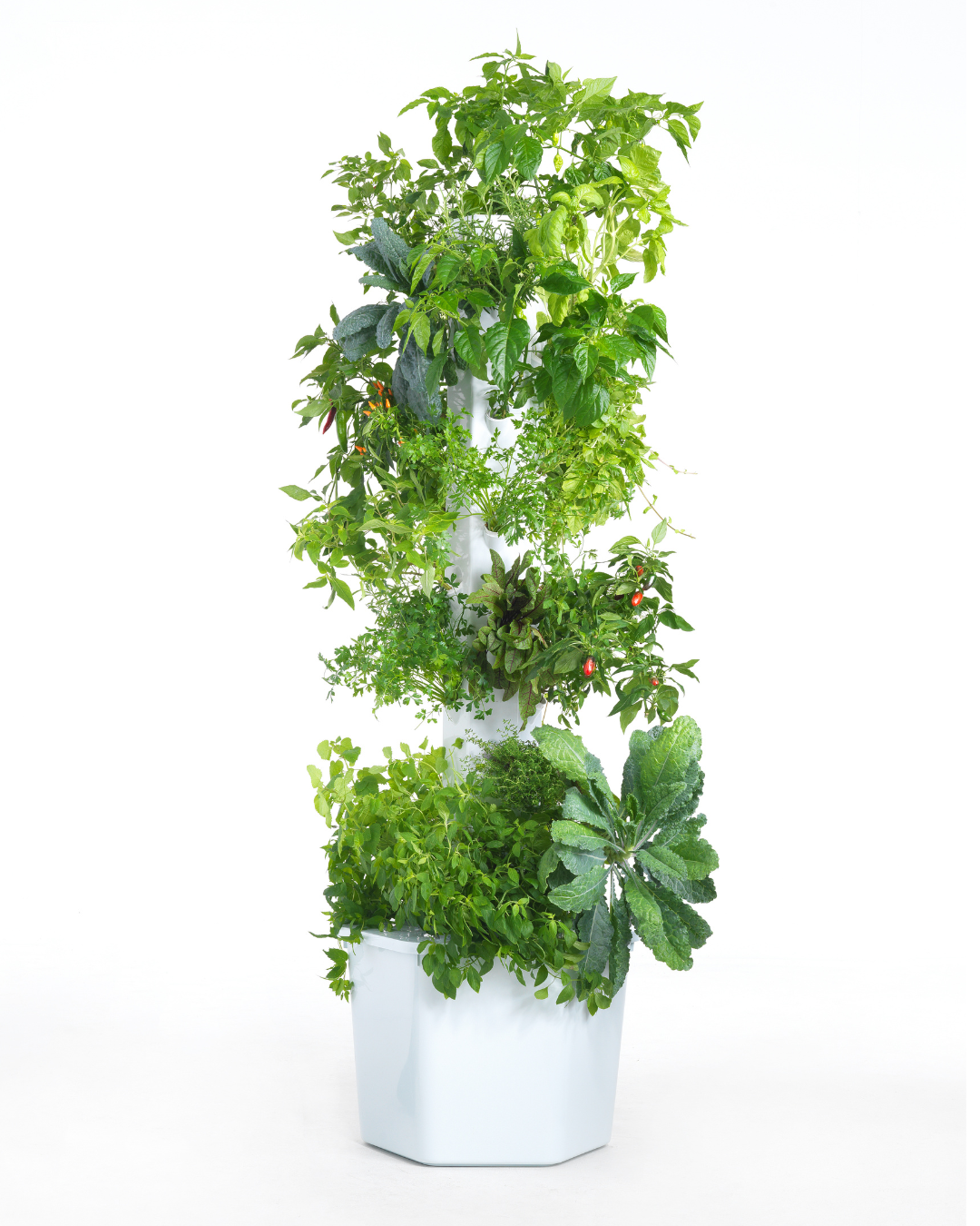 Outdoor Hydroponic Tower Kit with Science Curriculum (Region 1)