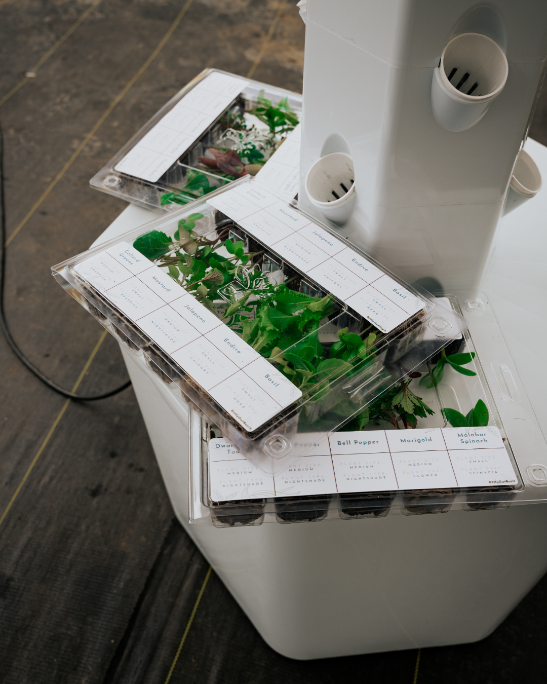 Outdoor Hydroponic Tower Education Kit with Science Curriculum