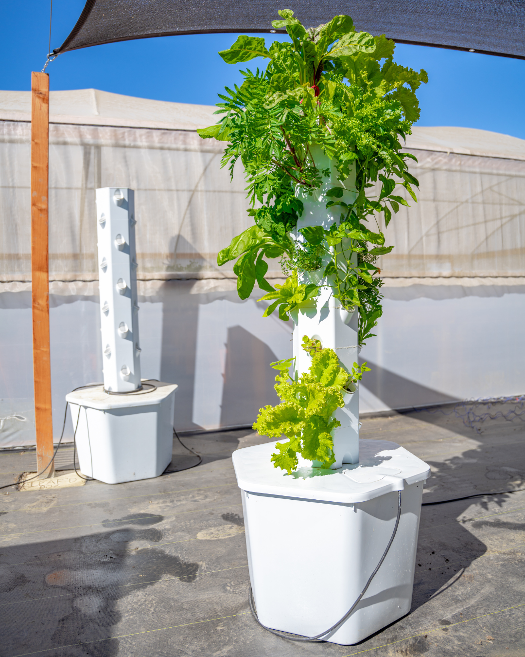 Outdoor Hydroponic Tower Education Kit with Science Curriculum