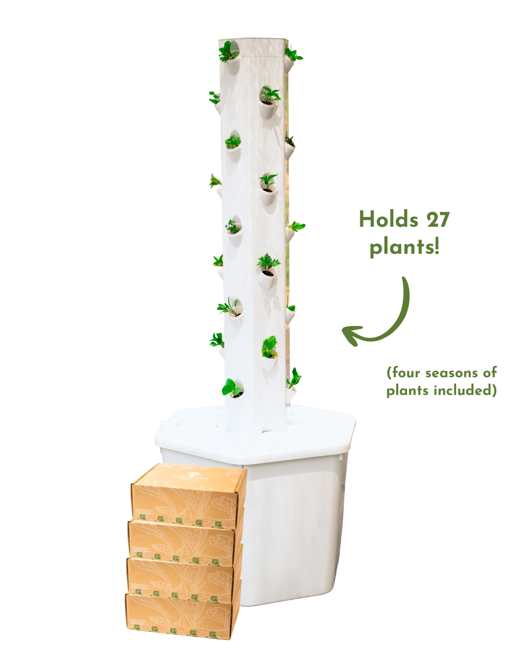 Outdoor Hydroponic Tower Kit with Science Curriculum (Region 3)