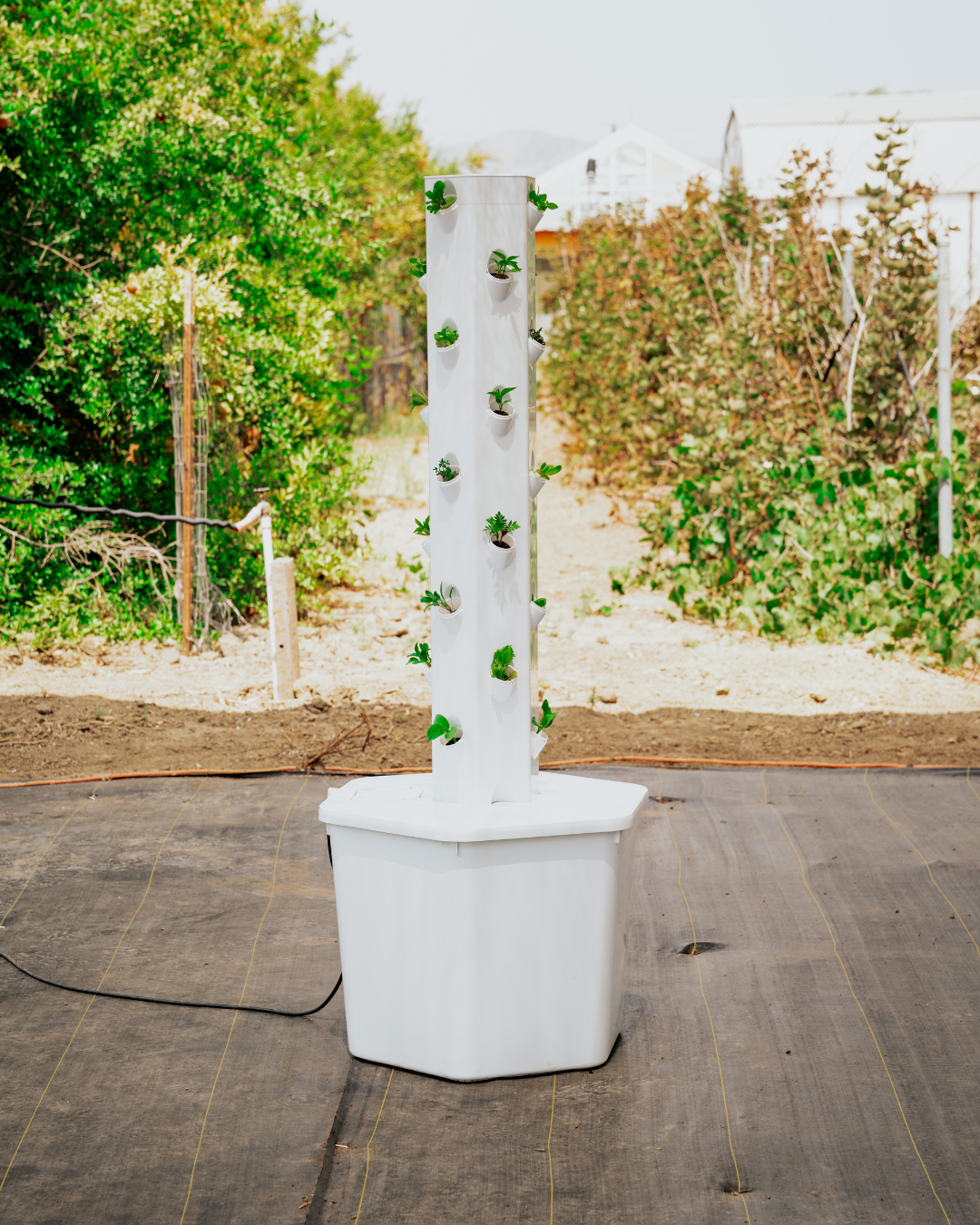 Outdoor Hydroponic Tower Education Kit with Science Curriculum