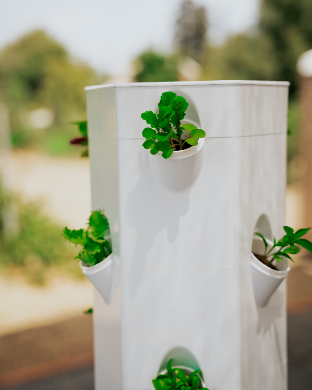 Outdoor Hydroponic Tower Education Kit with Science Curriculum