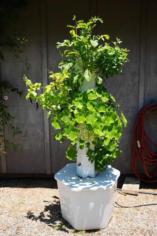 Outdoor Hydroponic Tower Subscription