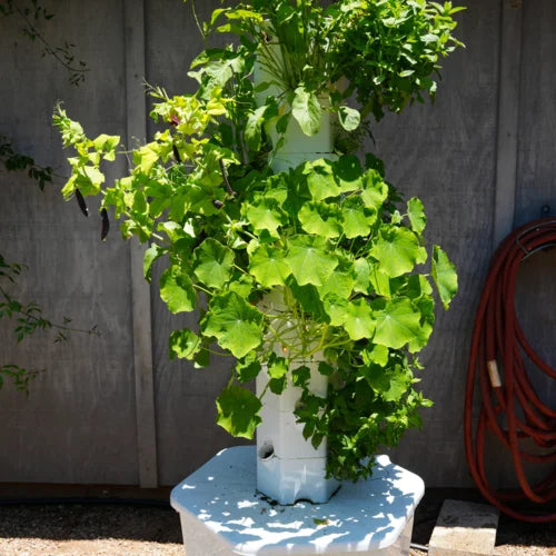 Outdoor Hydroponic Tower Subscription