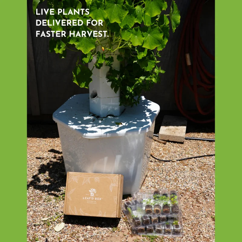 Outdoor Hydroponic Tower Education Kit with Science Curriculum