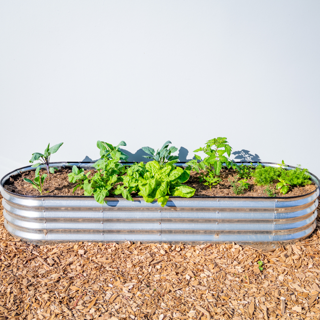 Oval Garden Bed Kit with Science Curriculum (Region 5)