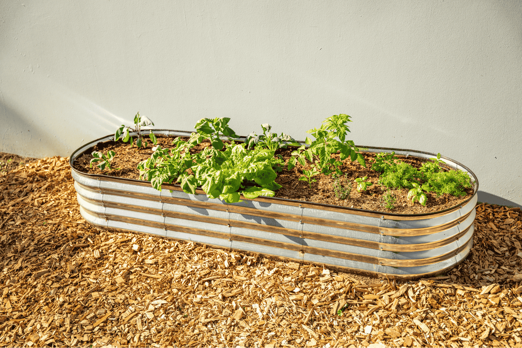 Oval Garden Bed with Plantlings