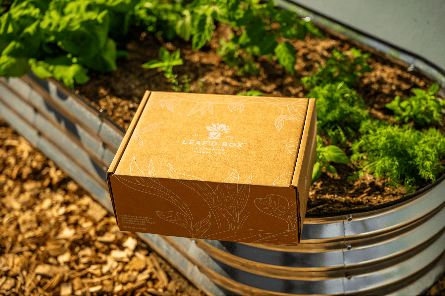 Oval Garden Bed with Plantlings