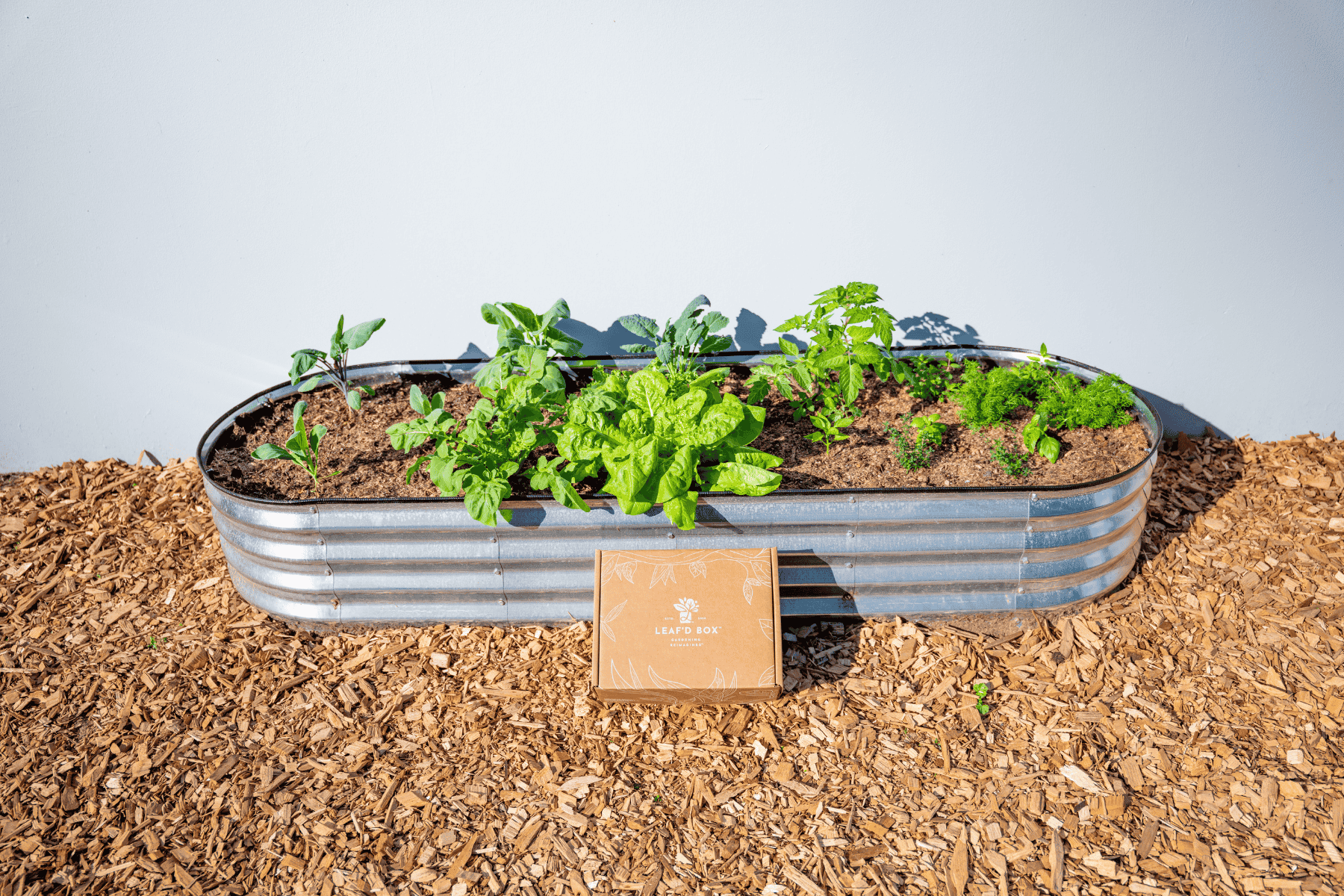 Oval Garden Bed with Plantlings