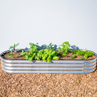 Oval Garden Bed with Plantlings & Science Curriculum (Region 1)