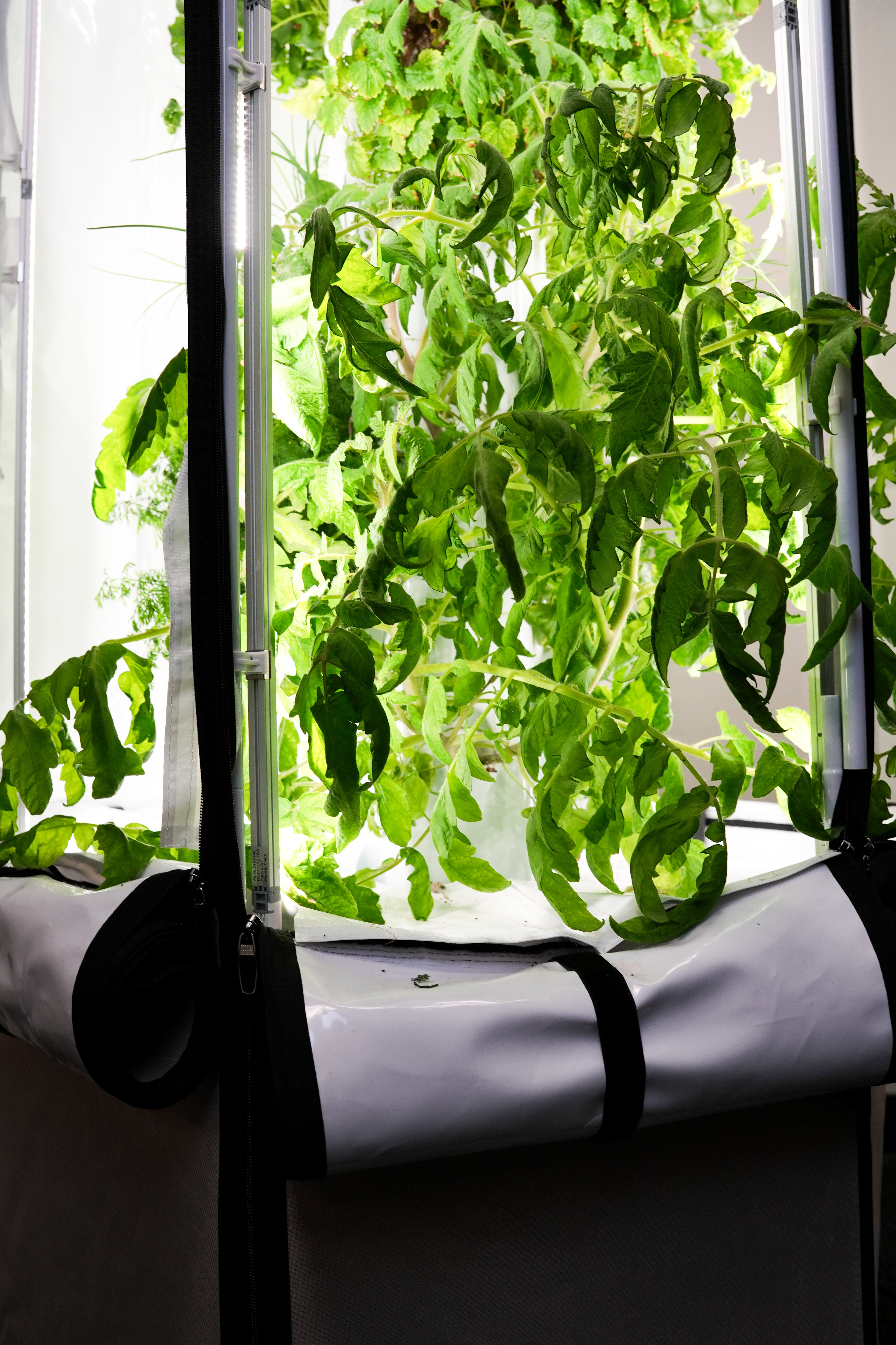 Indoor Hydroponic Tower Subscription