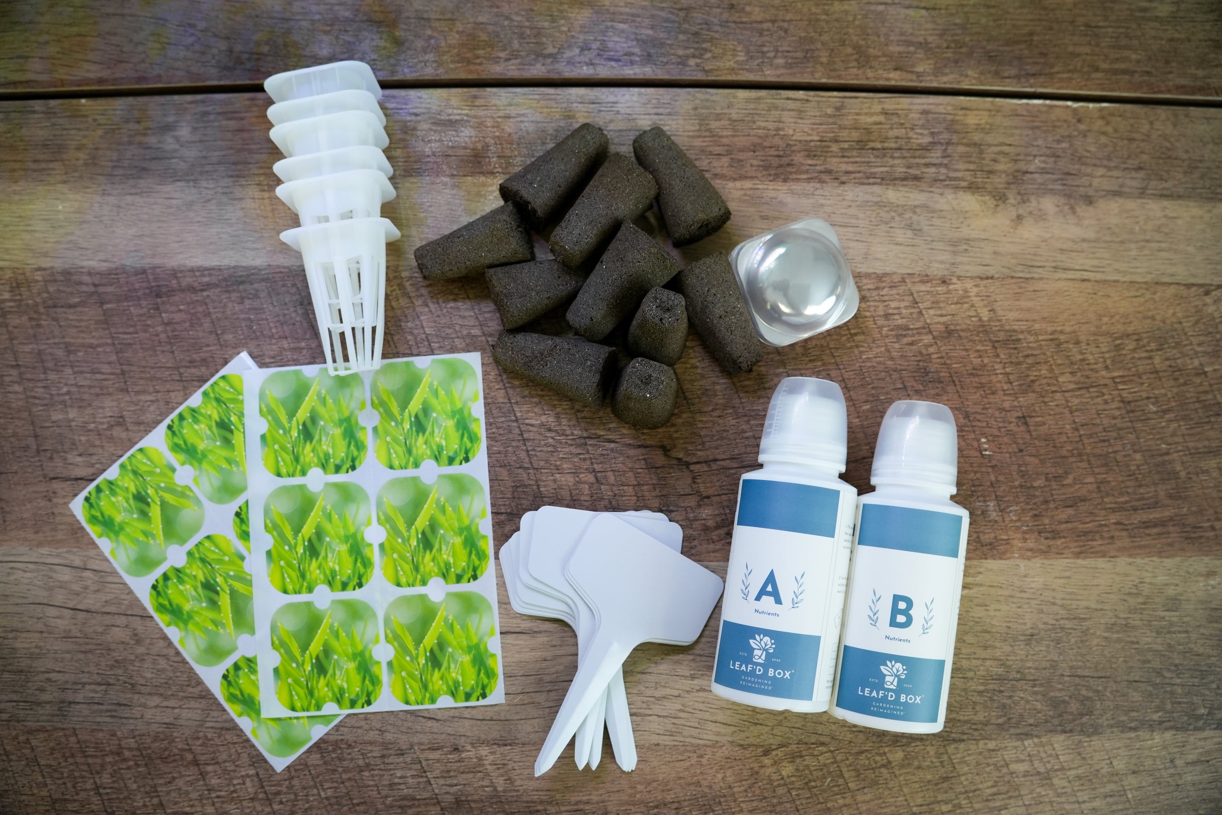 Mini Hydroponic Education Kit