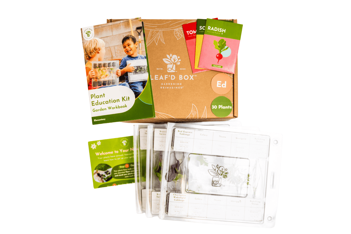 Plant Education Kit (Early Spring) - Elementary (Region 4)