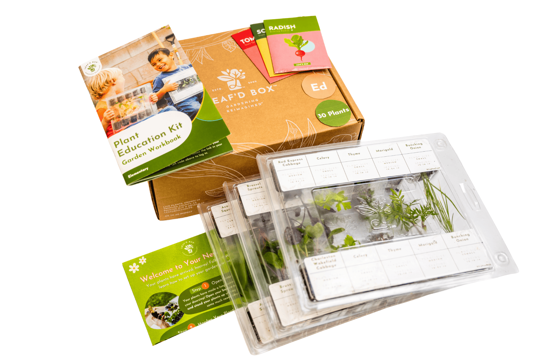 Plant Education Kit (Spring) - Elementary (Region 1)