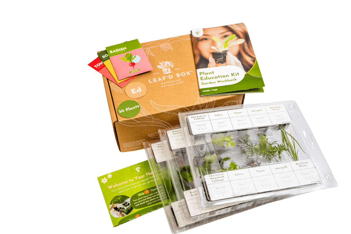Plant Education Kit (Early Spring) - Middle/High (Region 4)