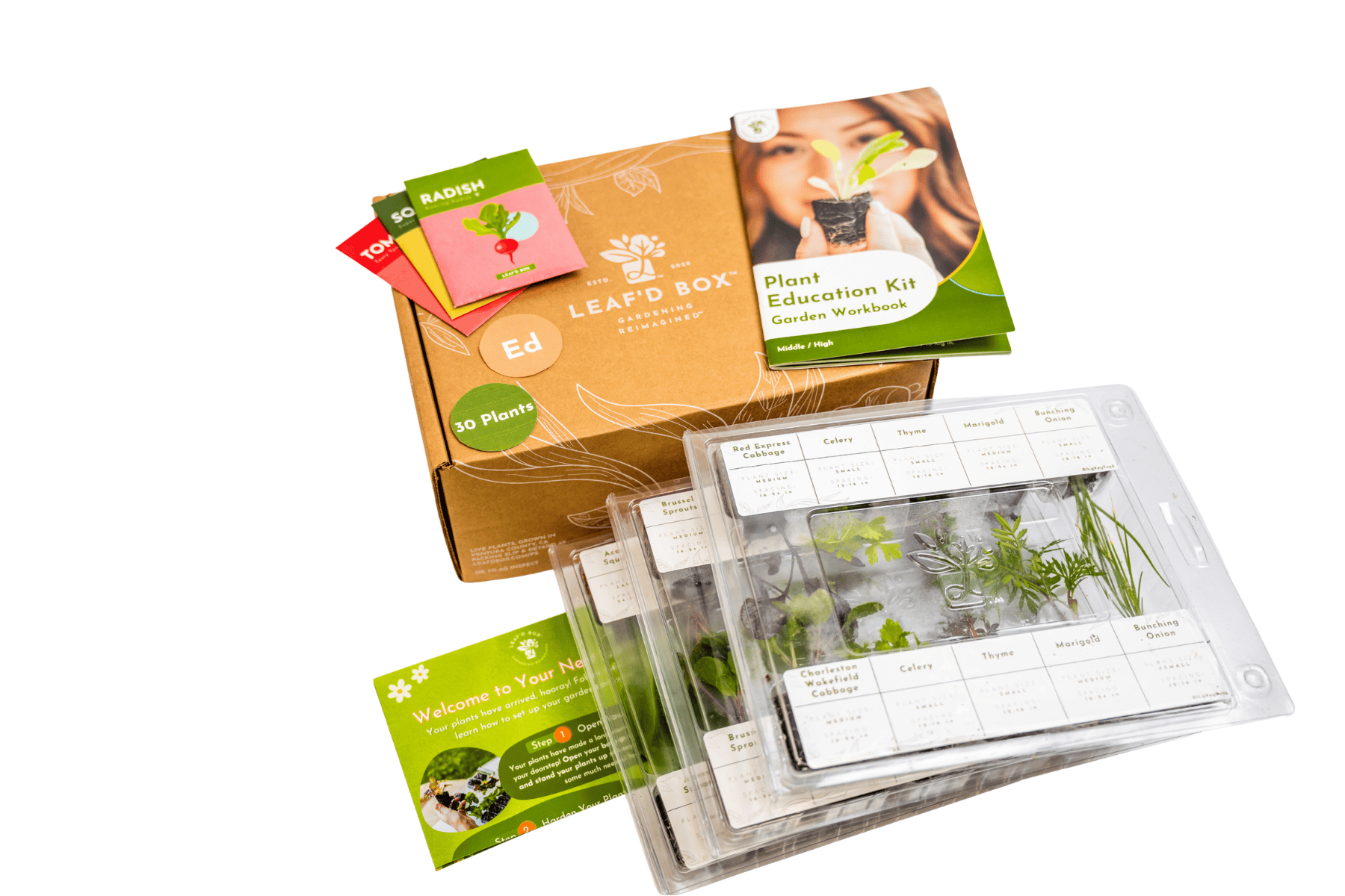 Plant Education Kit (Spring) - Middle/High (Region 1)