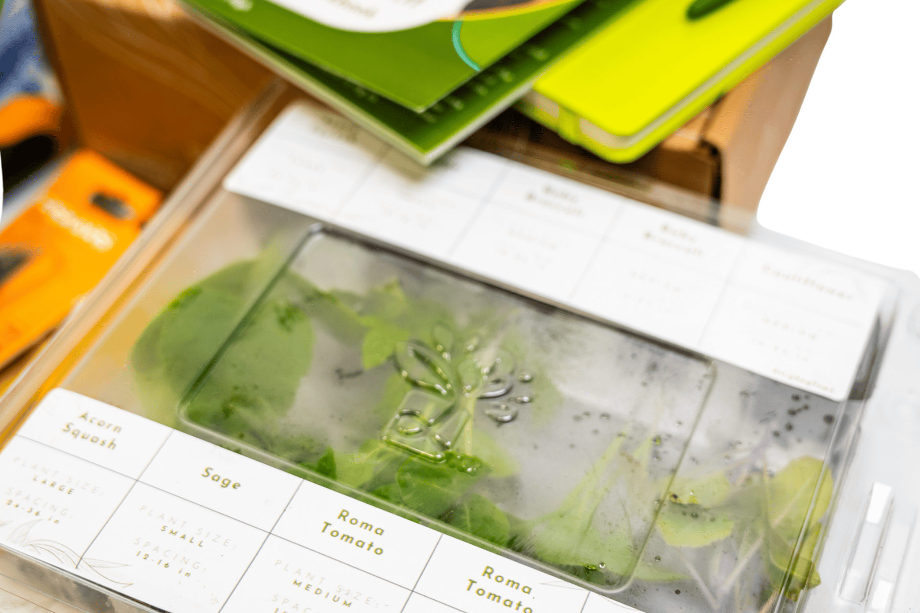 Plant Education Kit PLUS(Spring) - Middle/High (Region 1)