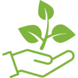 Plants selected for your region
