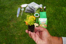 Load image into Gallery viewer, Plant Education Kit PLUS (Winter) - Middle/High (Region 3)
