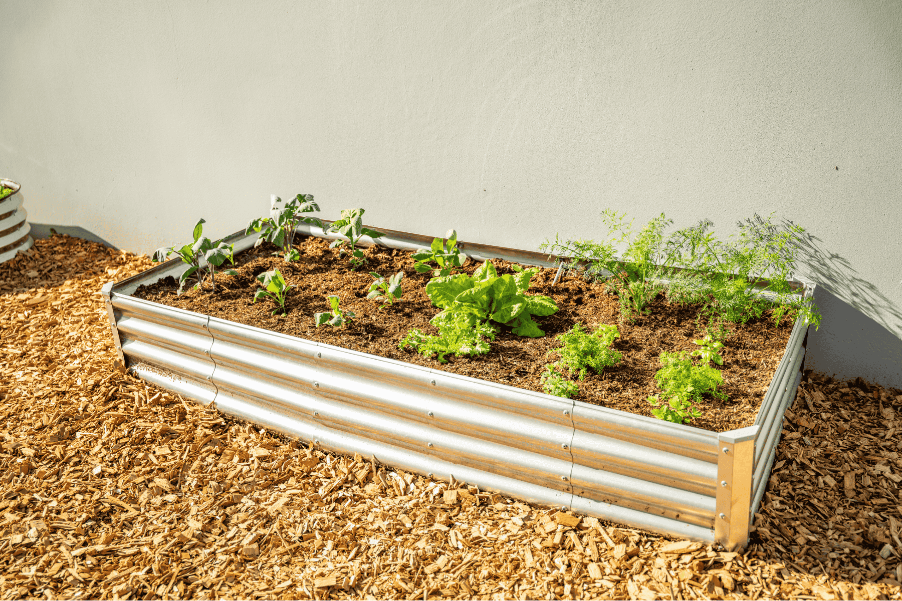 Rectangle Garden Bed with Plantlings