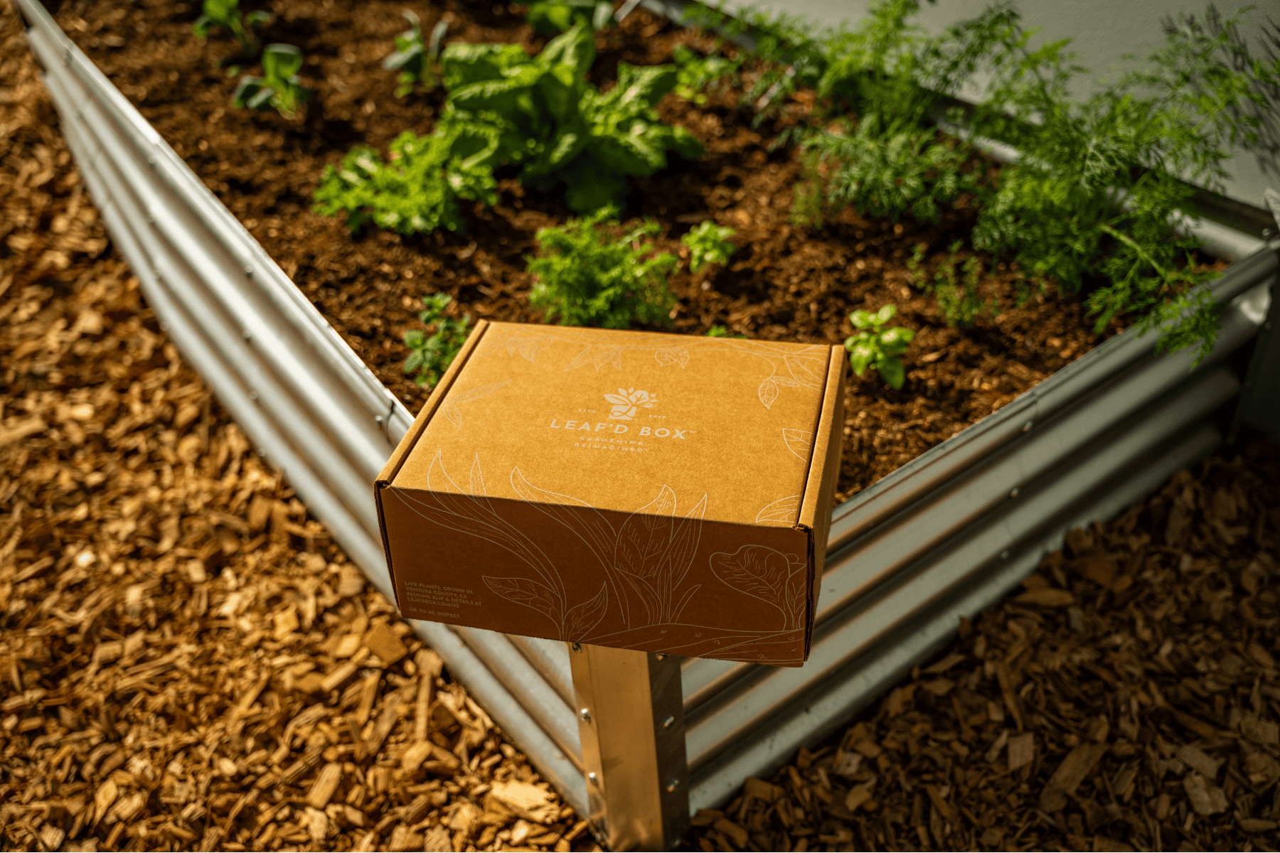 Rectangle Garden Bed with Plantlings