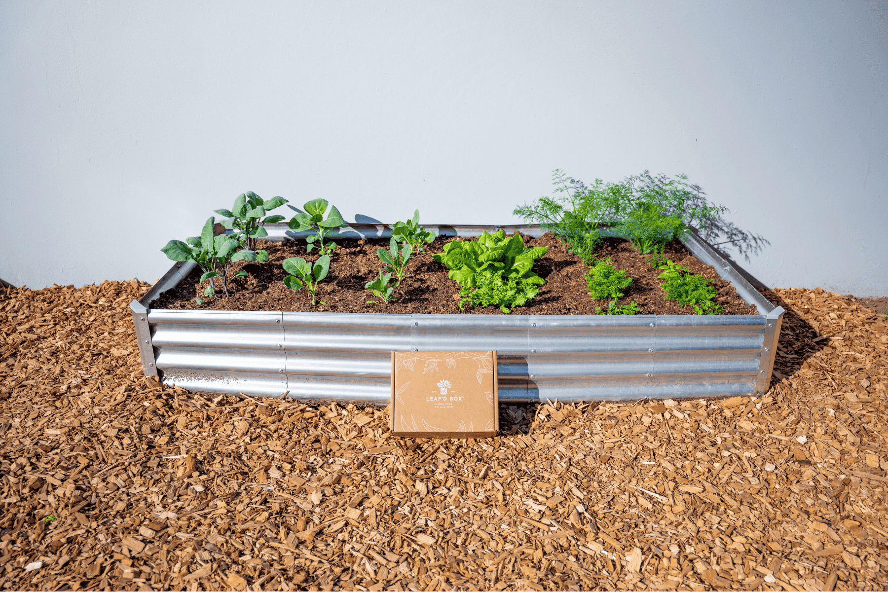 Rectangle Garden Bed with Plantlings