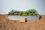 Rectangle Garden Bed with Plantlings