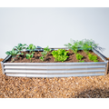 Rectangle Garden Bed Kit with Science Curriculum (Region 2)