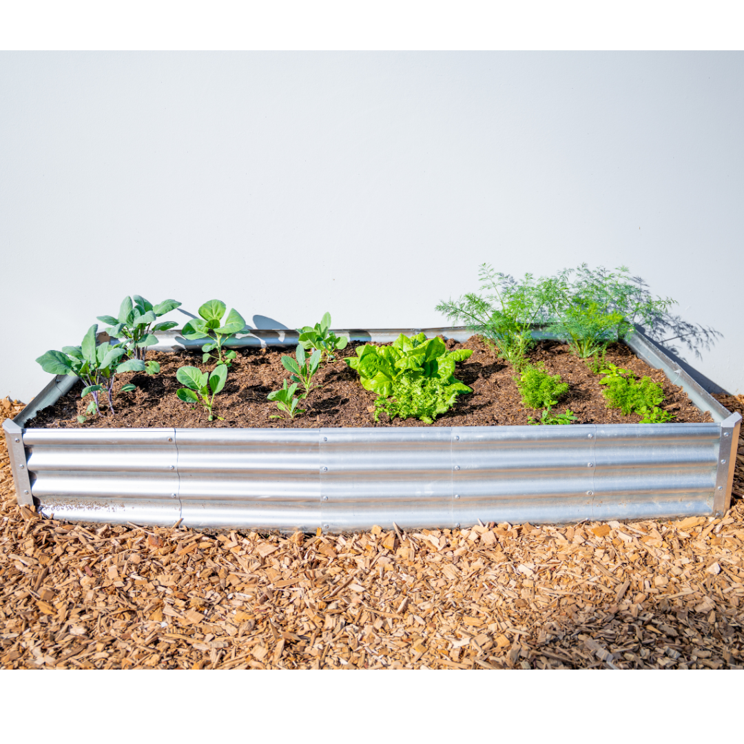 Rectangle Garden Bed Kit with Science Curriculum (Region 5)