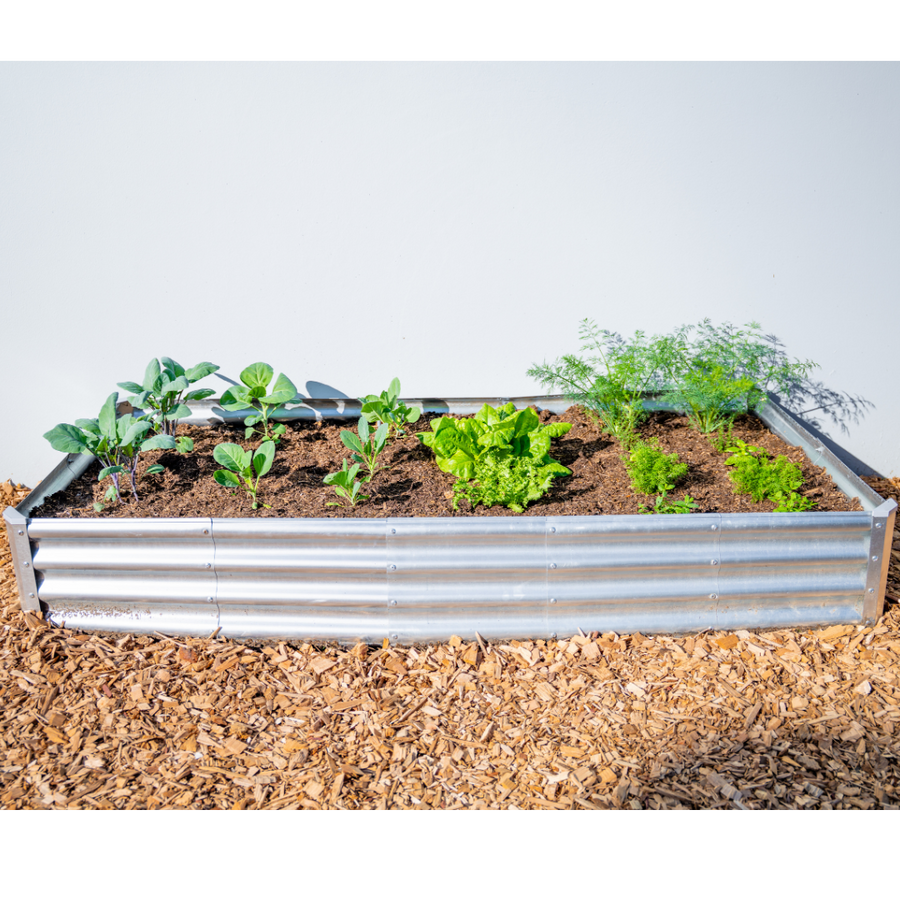 Rectangle Garden Bed Kit with Science Curriculum (Region 4)