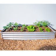 Rectangle Garden Bed with Plantlings & Science Curriculum (Region 1)