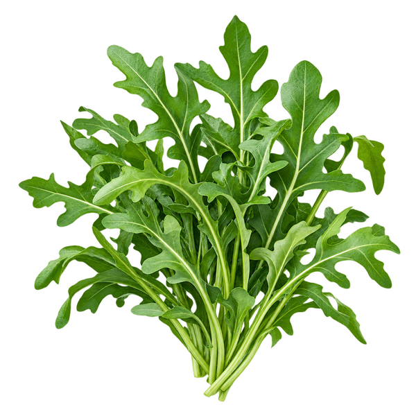 Seasonal plant preview for Region 4