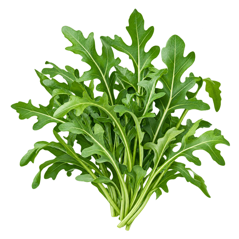 Seasonal garden plant
