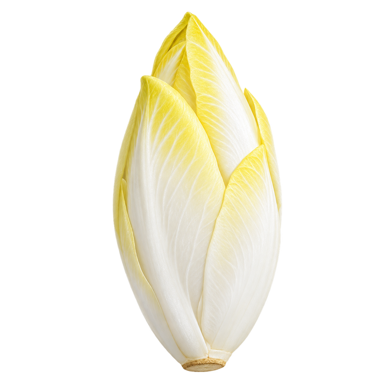 Seasonal garden plant