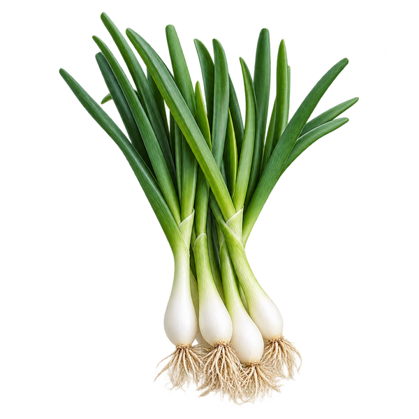 Seasonal plant preview for Region 1