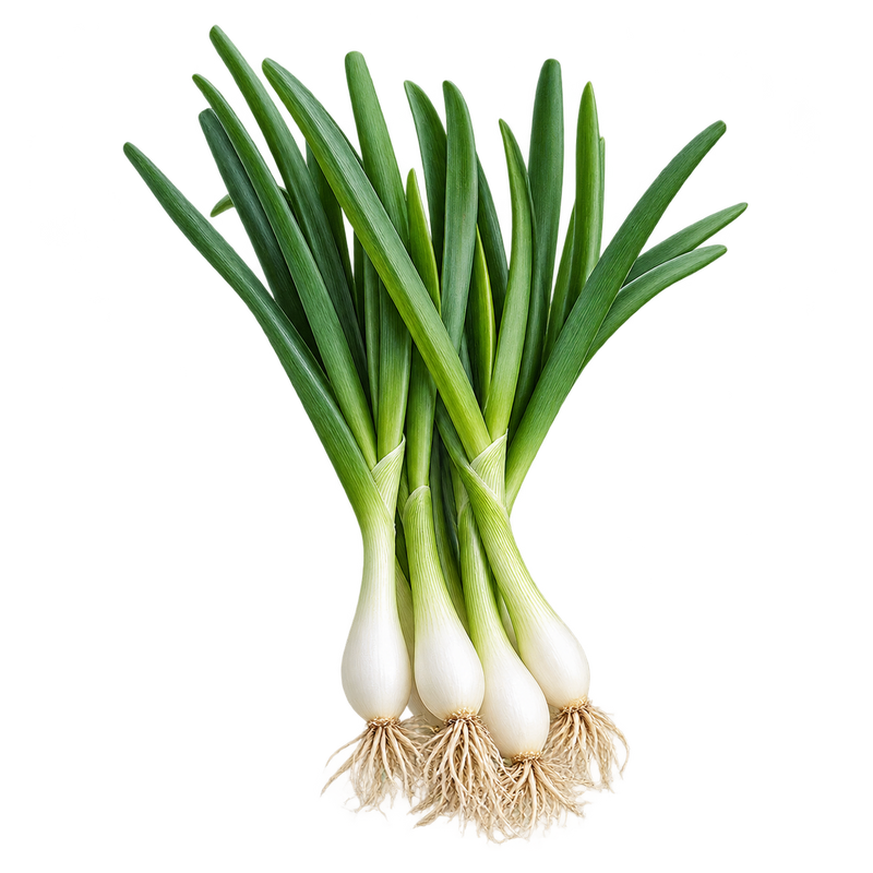 Seasonal garden plant
