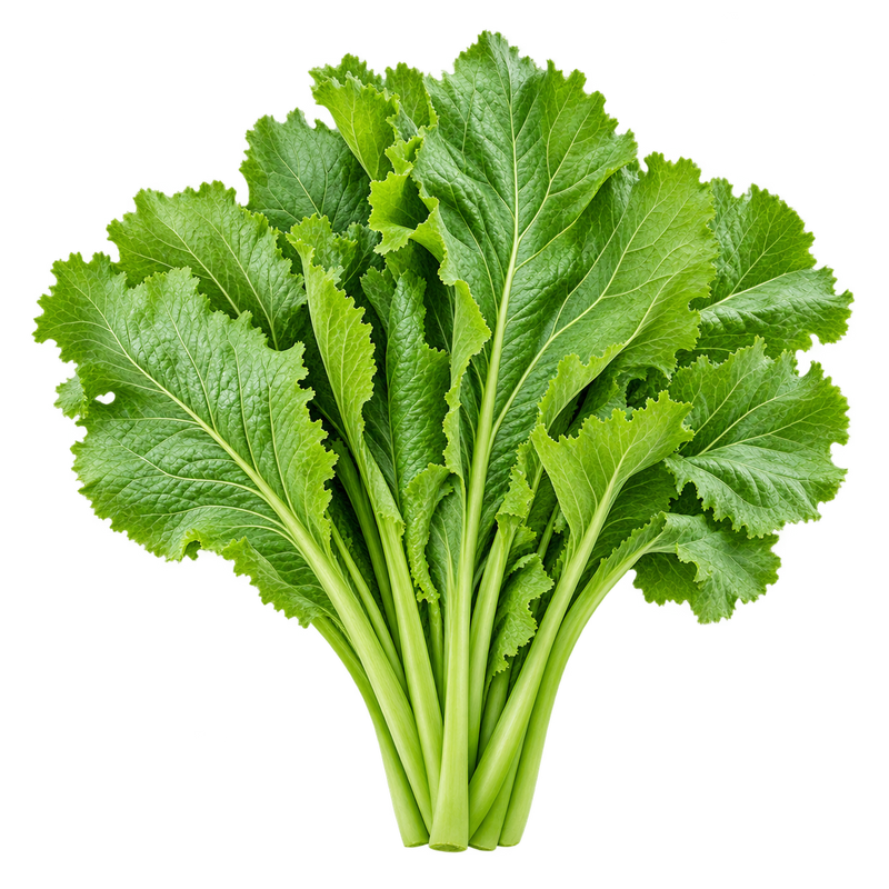Seasonal garden plant
