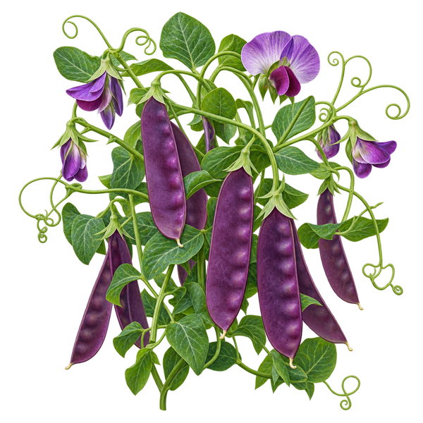 Seasonal plant preview for Region 2