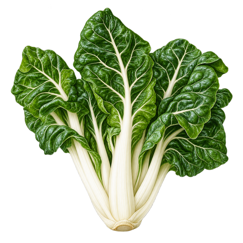 Seasonal garden plant