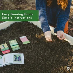 Herb Gardening Education Seed Kit with Science Curriculum