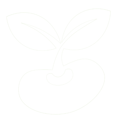 Seed & Grow Kits