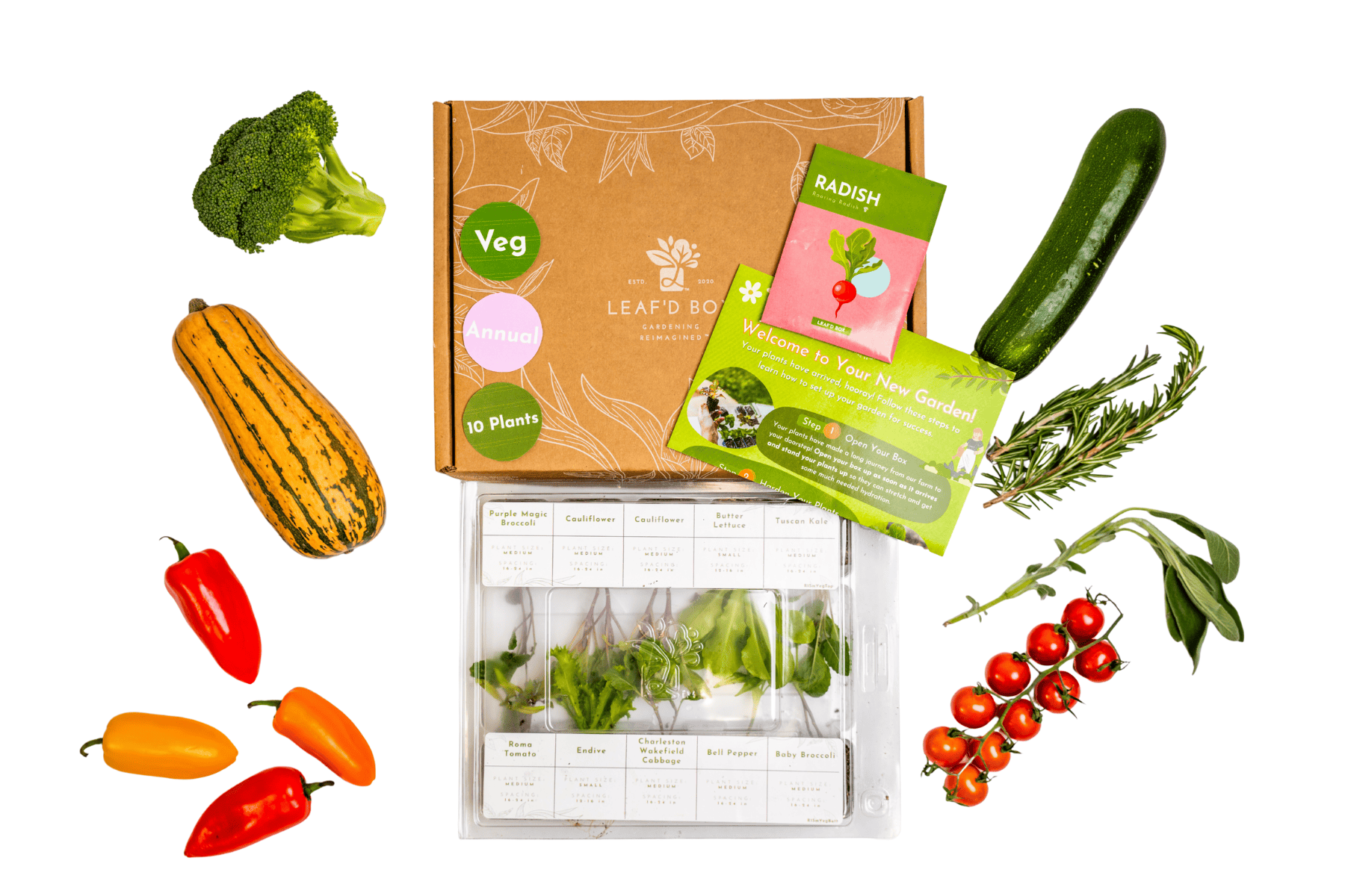 Small Veggie Garden Seasonal Subscription