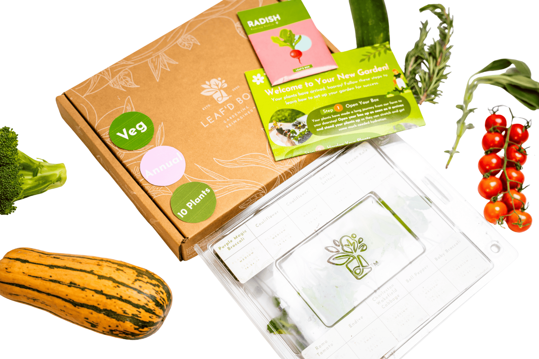 Small Veggie Garden Seasonal Subscription (Region 4)