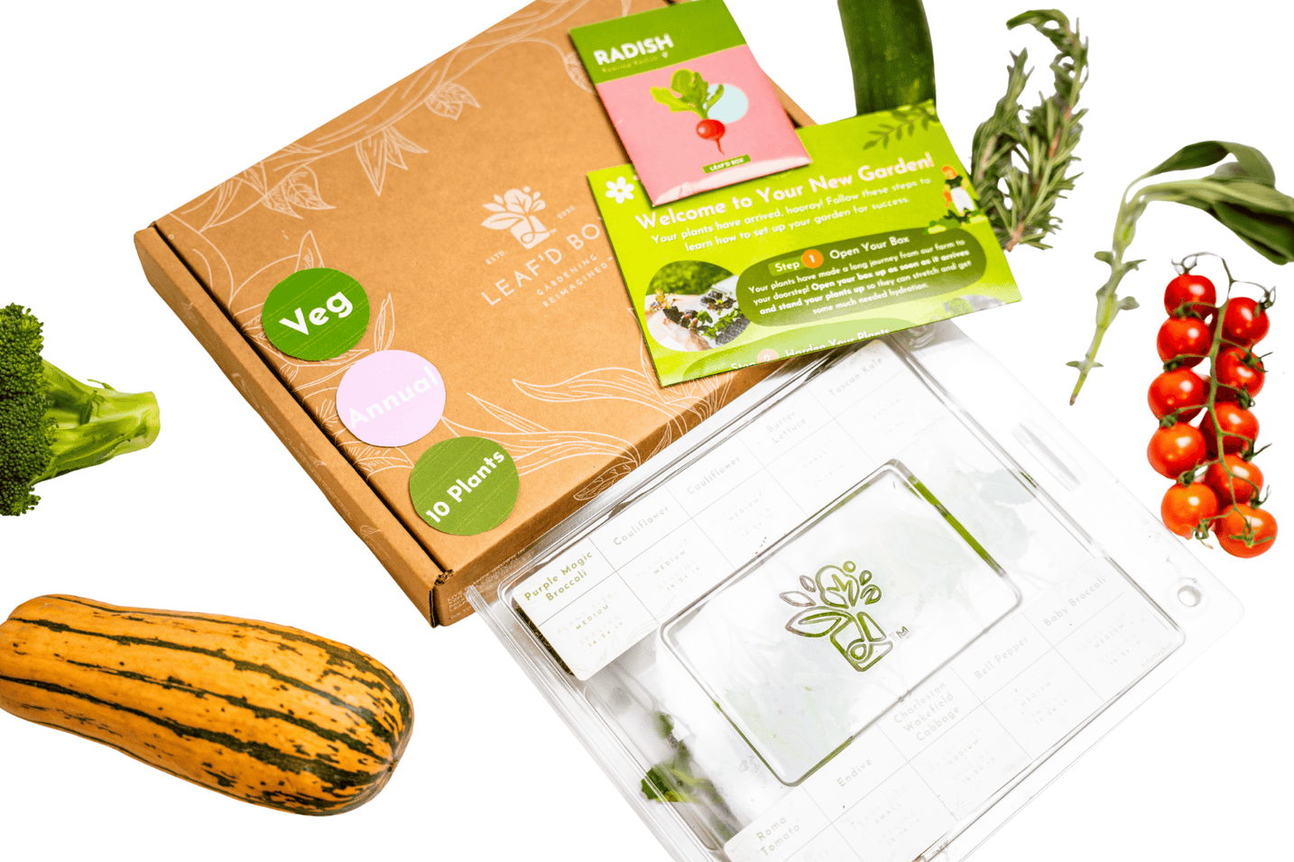 Small Veggie Garden Seasonal Subscription (Region 3)